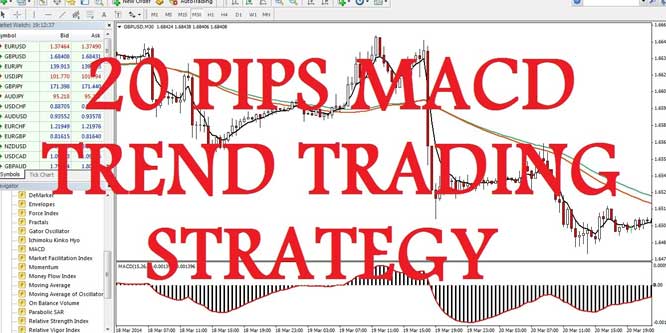20 Pips MACD Trend Trading Strategy.