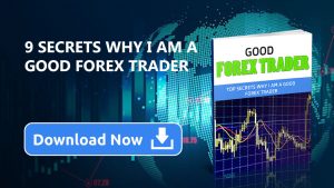 Discover the 9 Reasons Why Some Forex Traders Outperform the Rest - FREE Download!